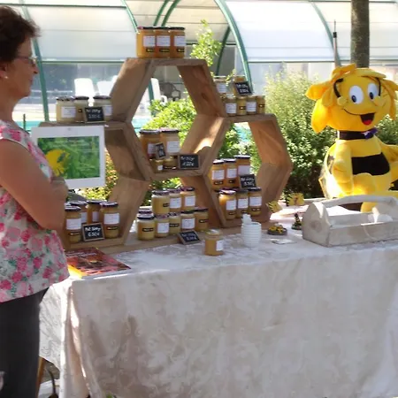 Campsite Camping Des Rulieres 3*