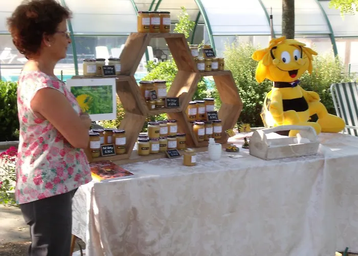 Kemp Camping Des Rulieres 3*